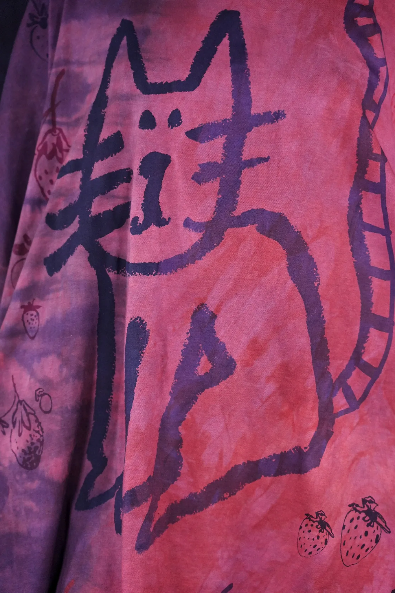 1255HD Art Tee Strawberry Cat Ombre