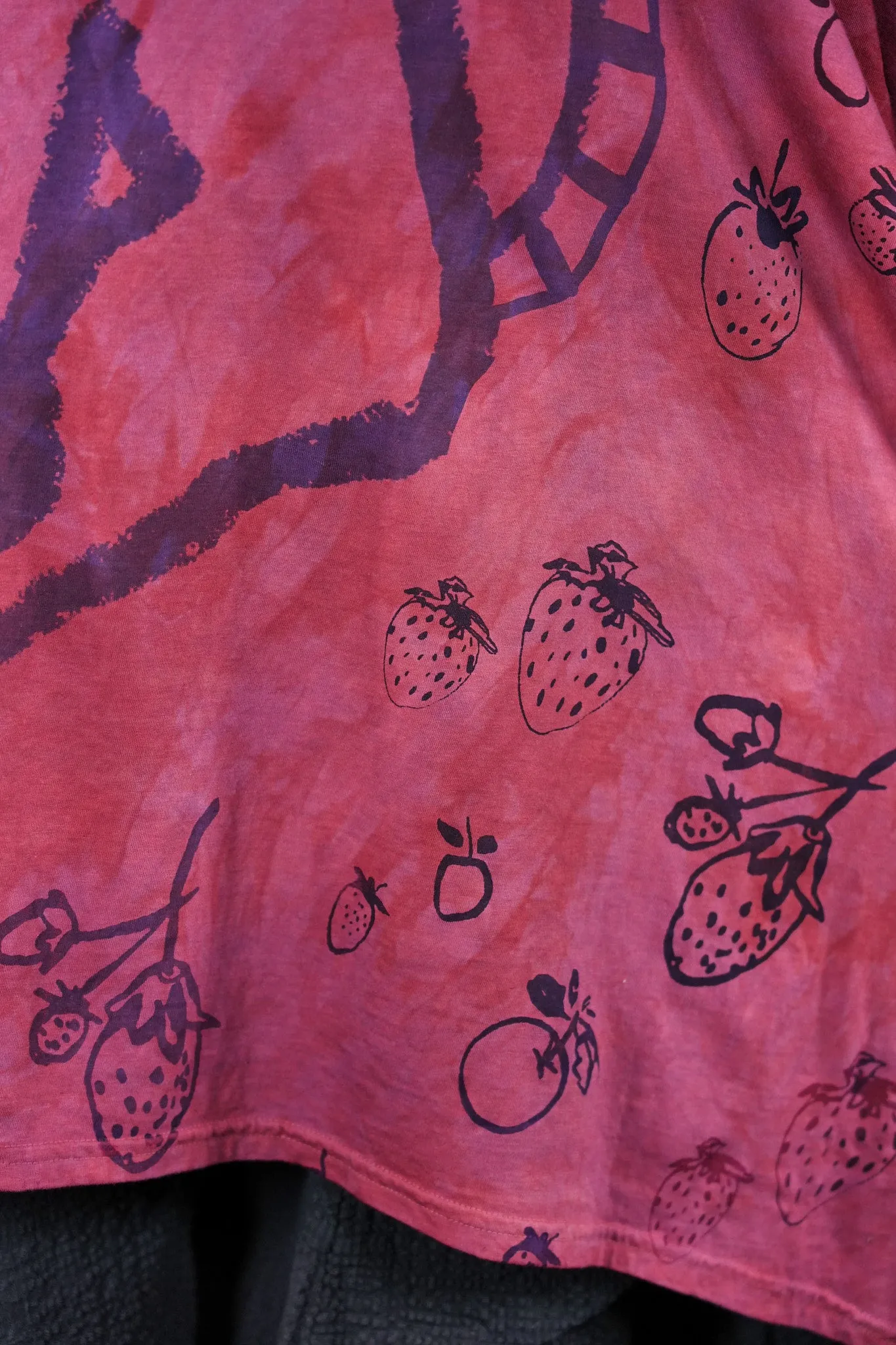 1255HD Art Tee Strawberry Cat Ombre