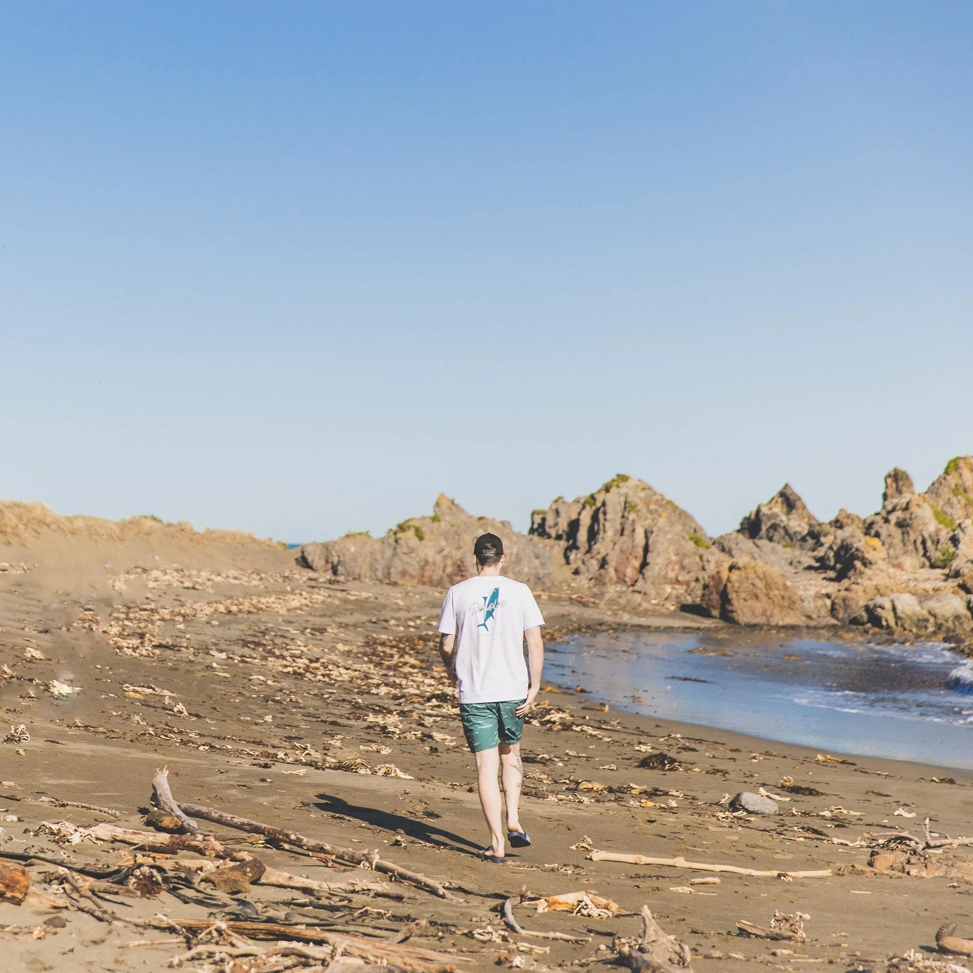 Kingi Harbour Shorts