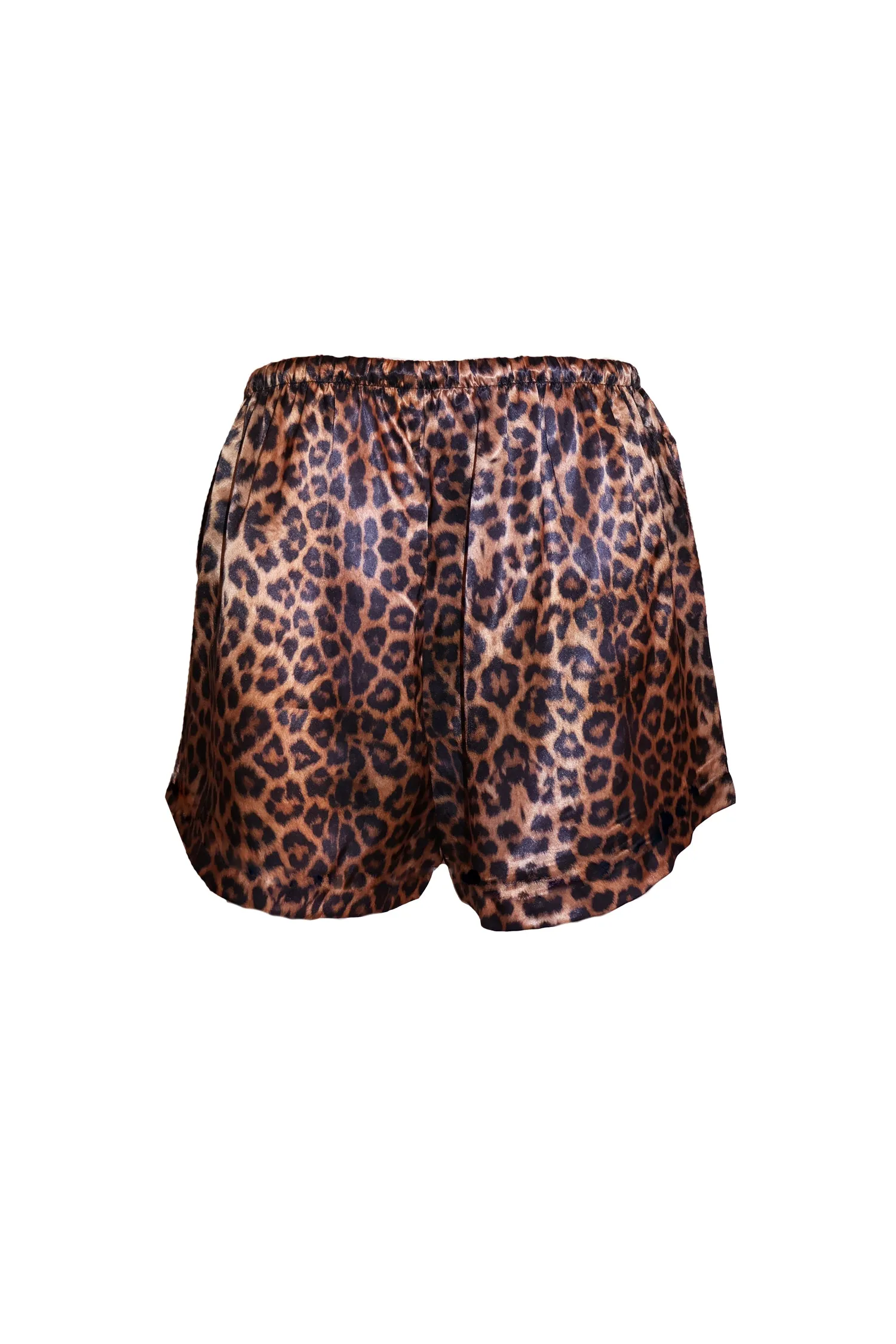 Leopard Robe   Slipper Bundle