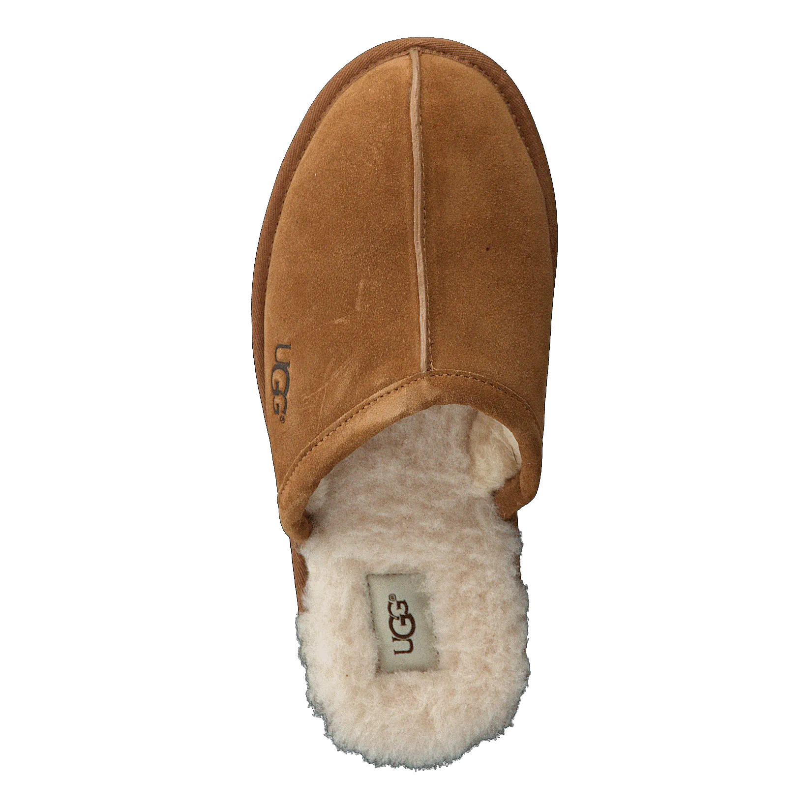 Scuff Chestnut