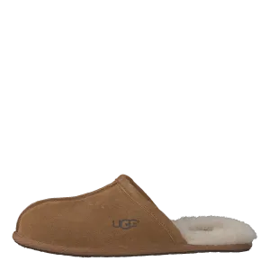 Scuff Chestnut