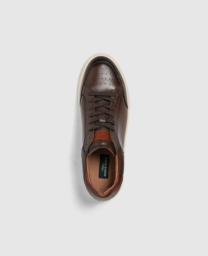 Sussex Street Sneaker