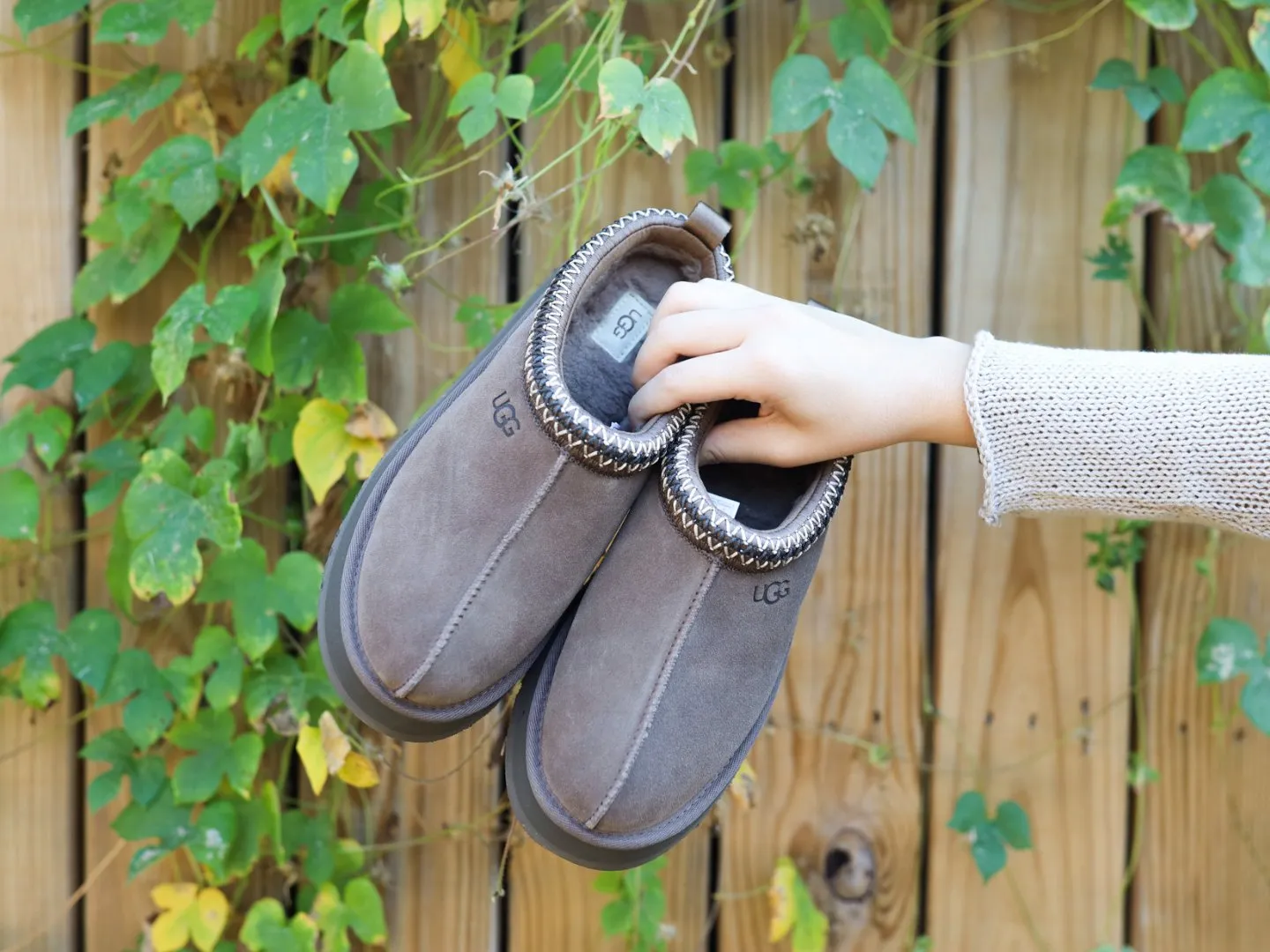 Ugg: Tazz in Hickory